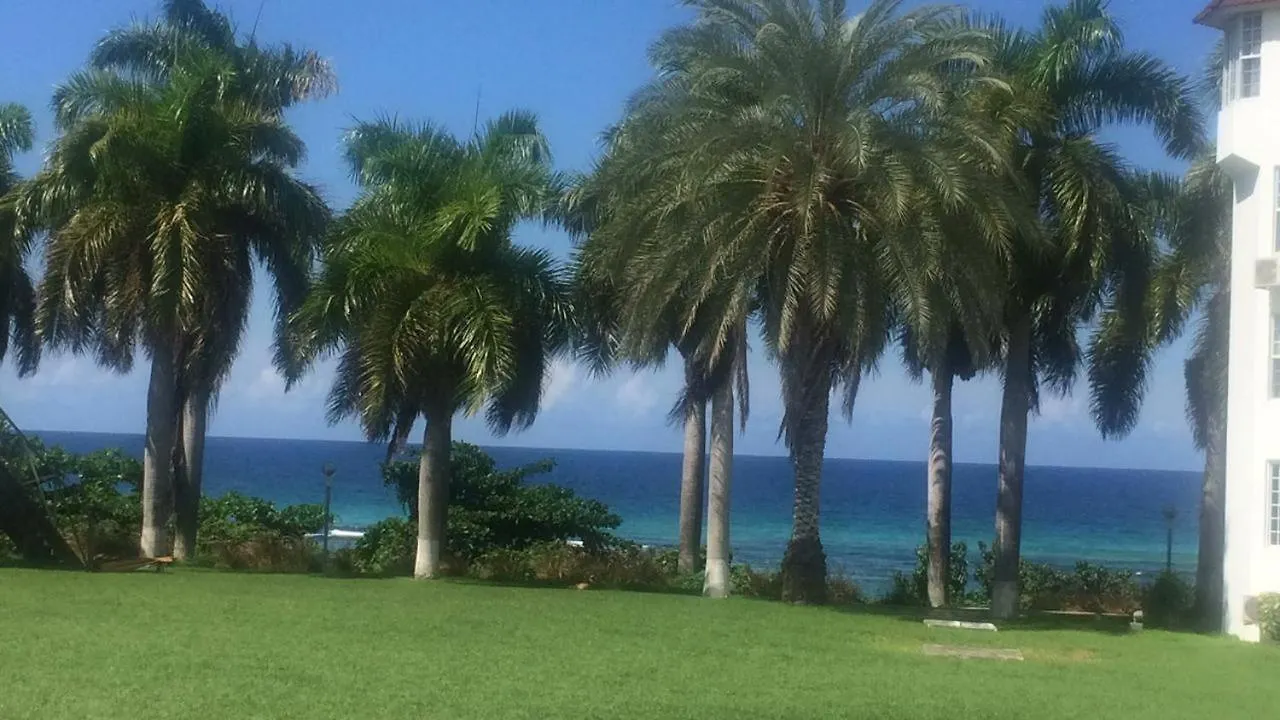 C'Daview Apartment Suite Montego Bay Jamaica